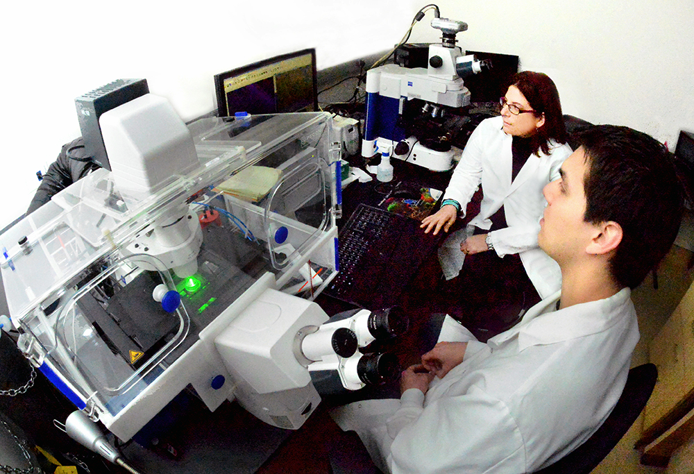 two researchers looking at scientific device