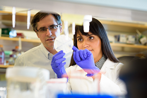 Doctoral candidate Raissa Estrela with Jamie Cate in laboratory