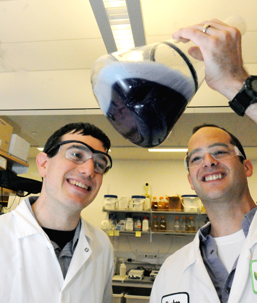 John Dueber (right) and bioengineering graduate student Zach Russ examine a culture of indigo-producing E. coli bacteria.