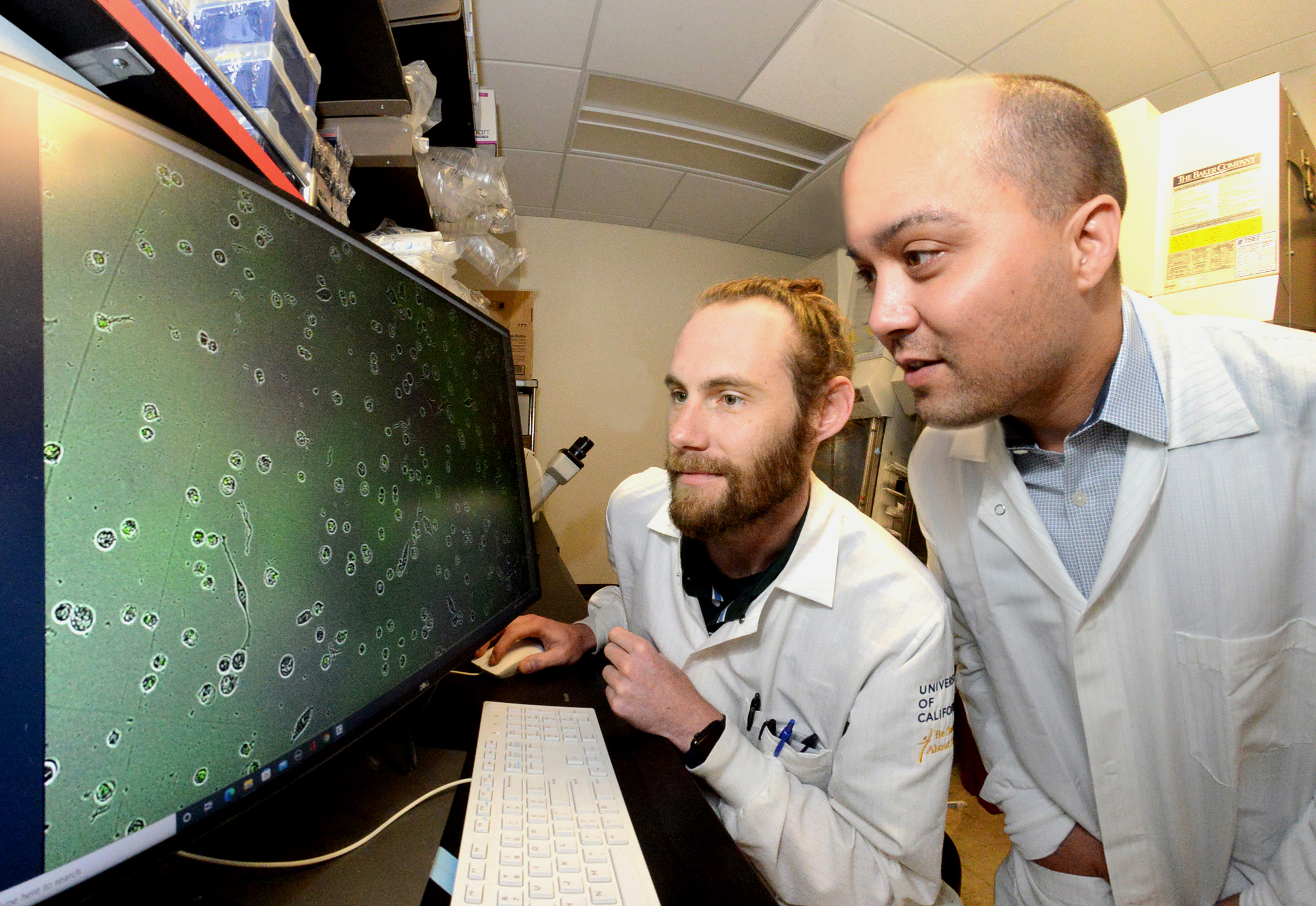 james olzmann and scientist staring at computer