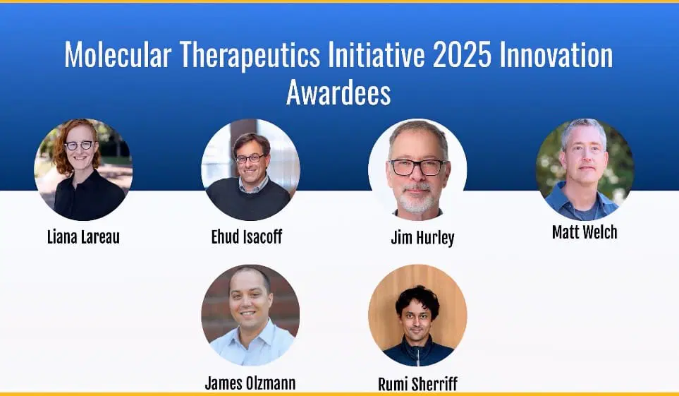 mti award winners